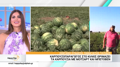 Kαρπουζοπαραγωγός στο Κιλκίς ωριμάζει τα καρπούζι με Μότσαρτ και Μπετόβεν