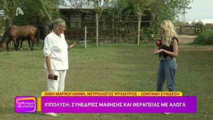 Ιππόλυση: Συνεδρίες μάθησης και θεραπείας με άλογα