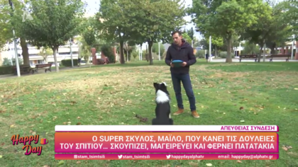 Ο super σκύλος Μάιλο