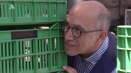 Σ5 – Επεισόδιο 177