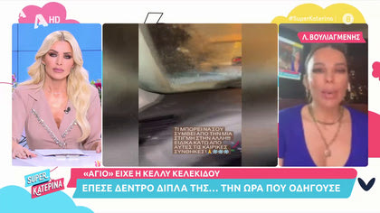 Άγιο είχε η Κέλλυ Κελεκίδου: Έπεσε δένδρο πάνω στο αυτοκίνητο της, με τον χιονιά