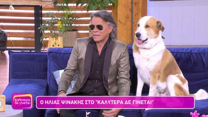 Ηλίας Ψινάκης