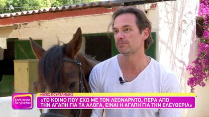 Νίκος Πουρσανίδης