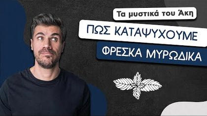 Πώς καταψύχουμε φρέσκα μυρωδικά