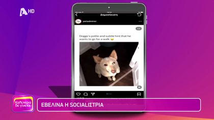 Εβελίνα socialiστρια