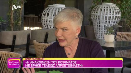 Νανά Παλαιτσάκη