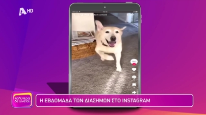 Εβελίνα η socialίστρια