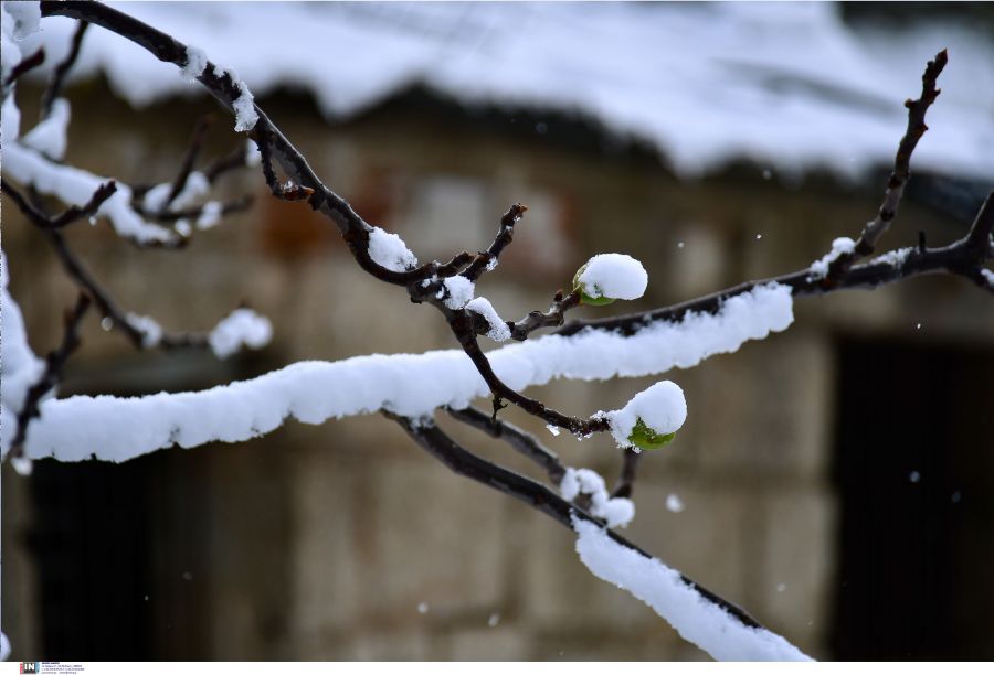 ClimateHub: Τα πιο ψυχρά και τα πιο θερμά Χριστούγεννα τα τελευταία 125 χρόνια