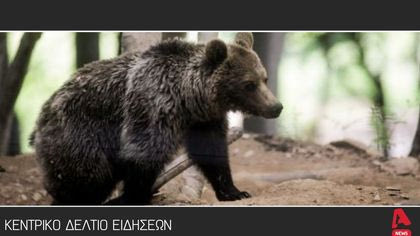 Κεντρικό δελτίο  10/6/2025