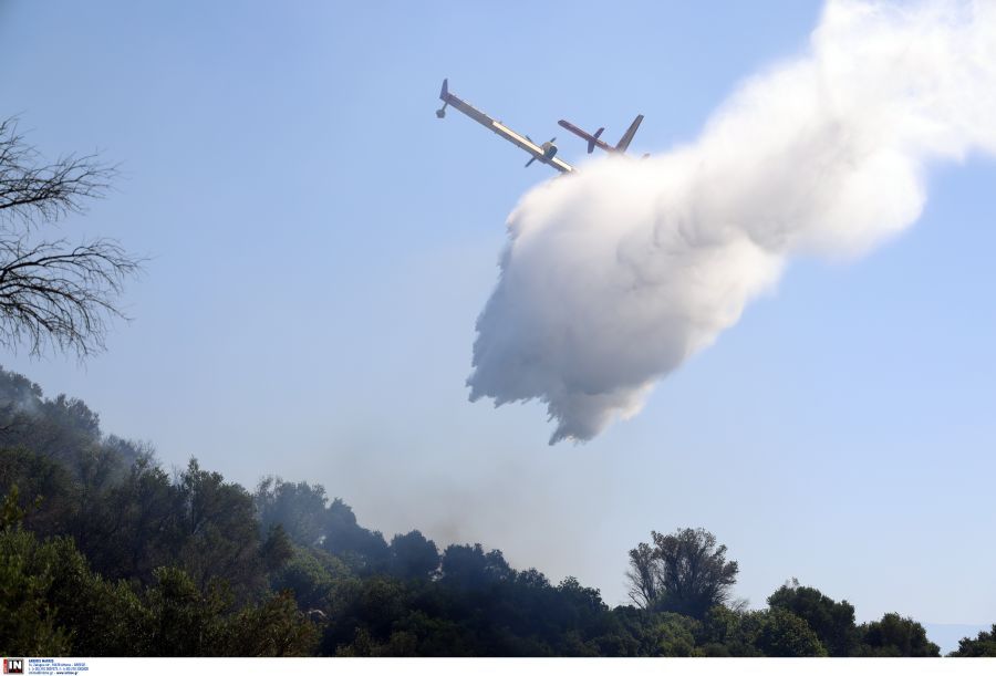 Σύλληψη δύο ανδρών για την πυρκαγιά σε αγροτοδασική έκταση στο Καραβοστάσι Λακωνίας