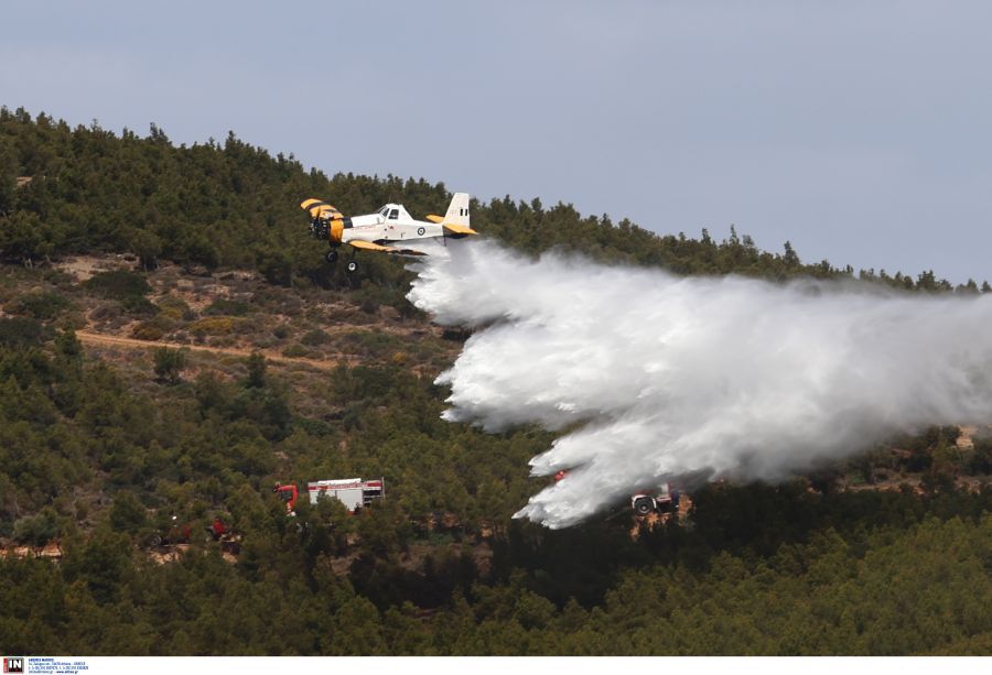 Μυτιλήνη: Πυρκαγιά σε δύσβατο σημείο γεωργικής έκτασης κοντά στο χωριό Παλαιόκηπος στη Γέρα