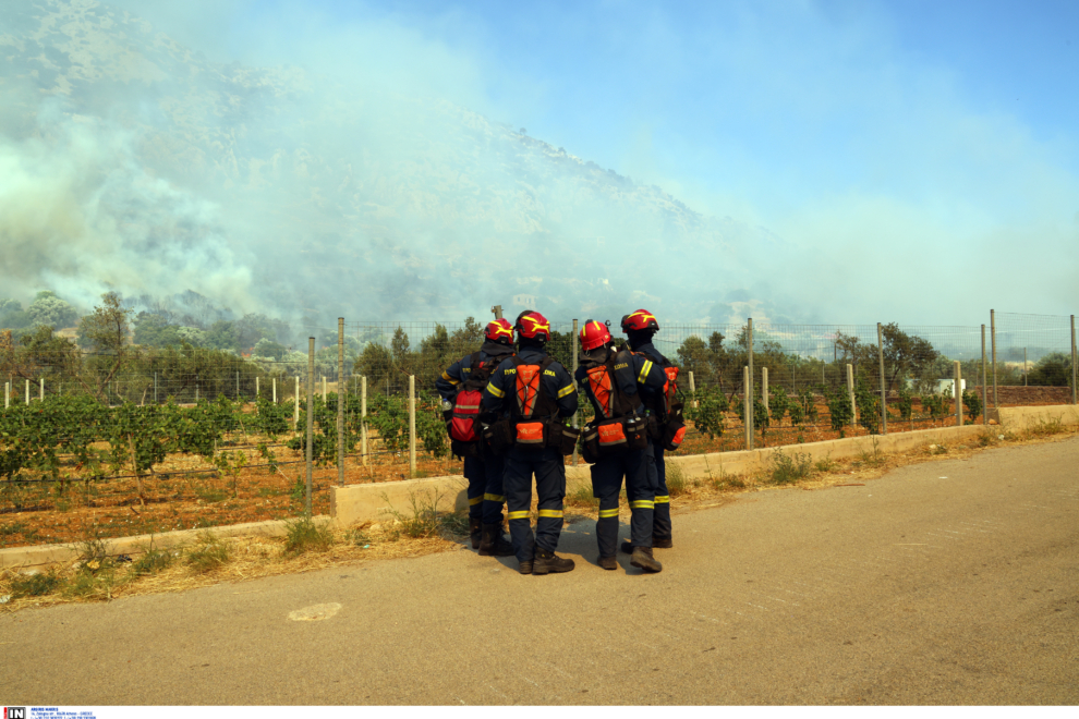 Περισσότεροι από 250 πυροσβέστες αναμένεται να ενισχύσουν τις δυνάμεις που επιχειρούν σε πέντε δασικές πυρκαγιές στη Χίο