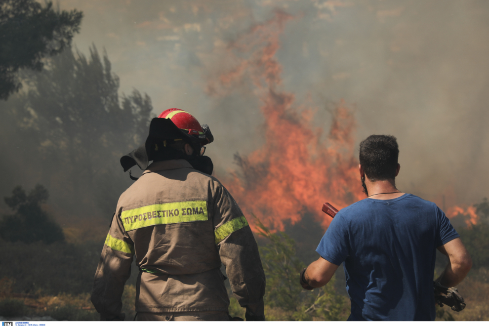 Πυρκαγιά σε χαμηλή βλάστηση στον Αντιά Καρύστου