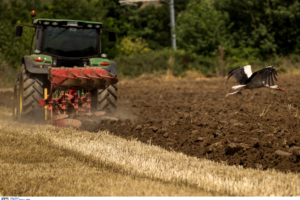 Καταβολή 18,7 εκατ. ευρώ από τον ΕΛΓΑ σε 8.648 παραγωγούς για ζημιές του 2025