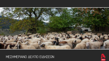 Μεσημεριανό Δελτίο 14/7/2025