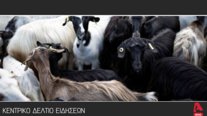 Κεντρικό δελτίο 2/7/2025