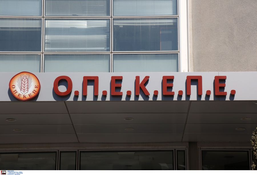 Πληρωμές 13,1 εκατ. ευρώ σε 70.652 παραγωγούς από τον ΟΠΕΚΕΠΕ