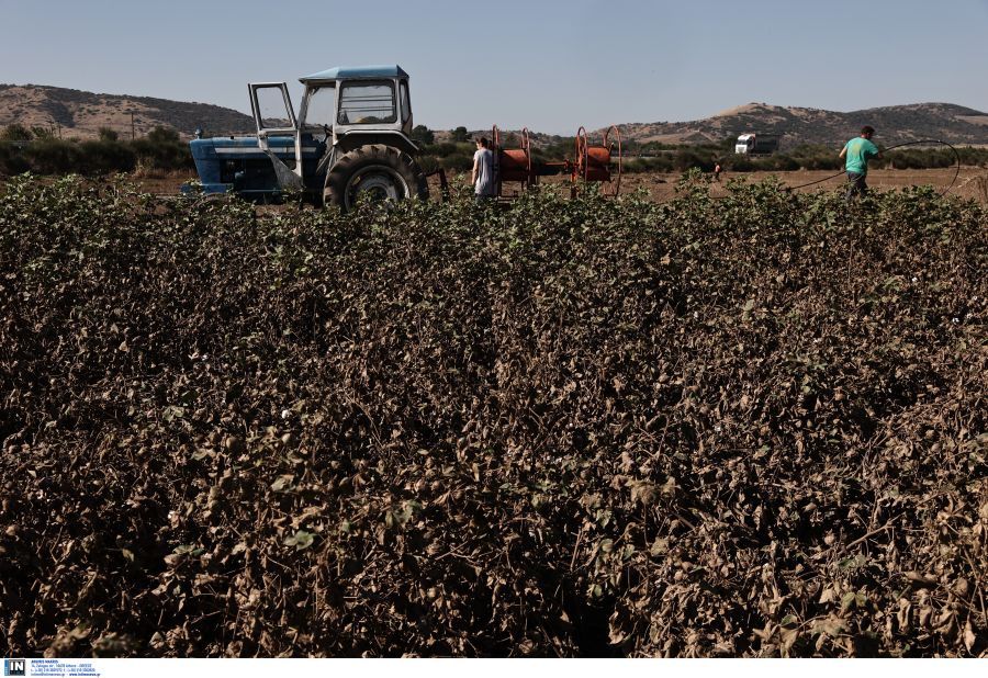 Δεσμεύτηκαν όλα τα περιουσιακά στοιχεία δύο αγροκτηνοτρόφων της Θεσσαλίας από την Αρχή για το ξέπλυμα μαύρου χρήματος