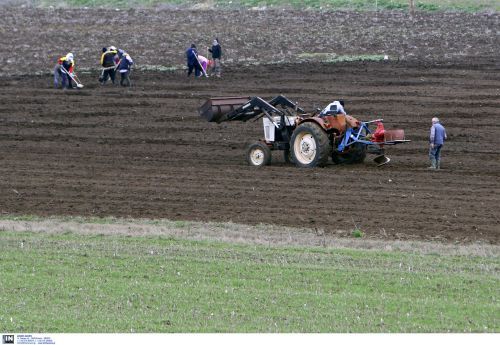 Προϋπολογισμός 135 εκατ. ευρώ για το πρόγραμμα μεταποίησης, εμπορίας και ανάπτυξης γεωργικών προϊόντων