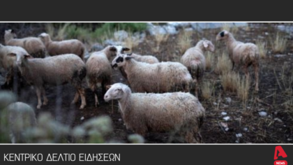 Κεντρικό δελτίο 5/7/2025