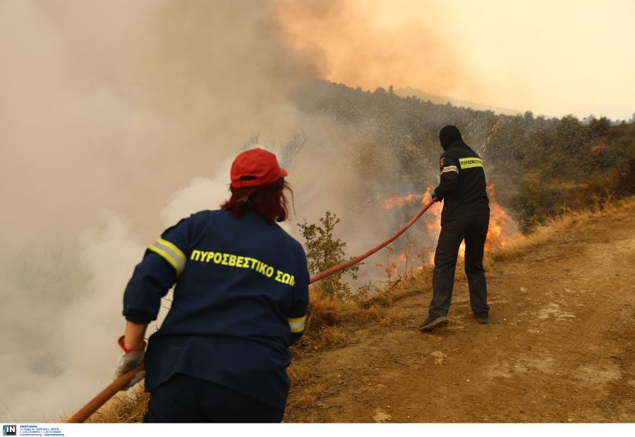 Πυρκαγιά σε δασική έκταση στον Άγιο Στέφανο Αττικής