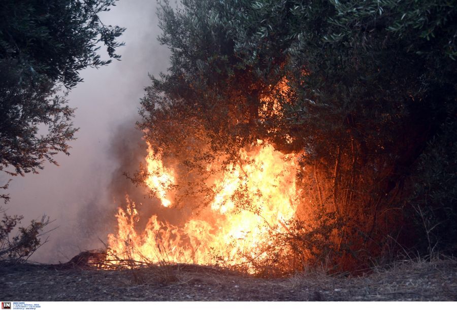 Πάτρα: Συνελήφθη για εμπρησμό ο 21χρονος μάρτυρας υπεράσπισης του 25χρονου
