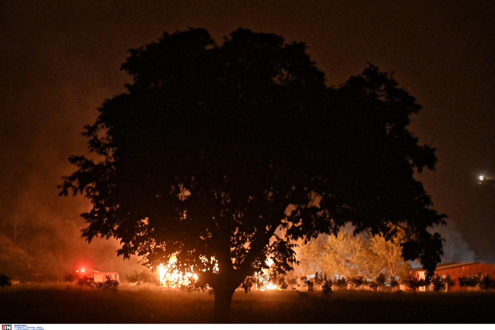 Παπασταύρου: Σε χρόνο ρεκόρ η εκκίνηση έργων πρόληψης και αποκατάστασης για τον πυρόπληκτο Φενεό