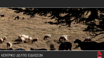 Κεντρικό Δελτίο 20/09/25
