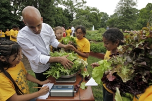 Η περιορισμένη πρόσληψη ζάχαρης στη βρεφική ηλικία προστατεύει την καρδιά στην ενήλικη ζωή