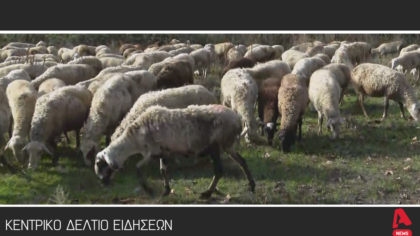 Κεντρικό Δελτίο 21/11/2025