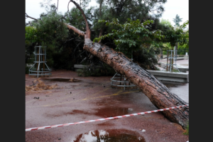 «Δρόμοι έγιναν ποτάμια – Ξεριζώθηκαν δέντρα» στη Δράμα