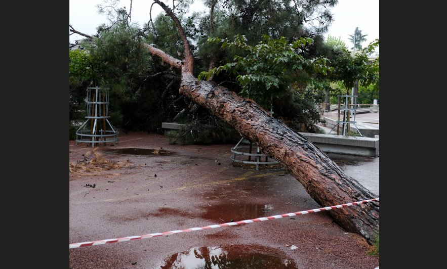 «Δρόμοι έγιναν ποτάμια – Ξεριζώθηκαν δέντρα» στη Δράμα