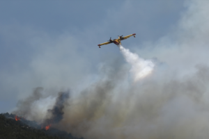 Φωτιά σε δασική έκταση στη Κεφαλονιά