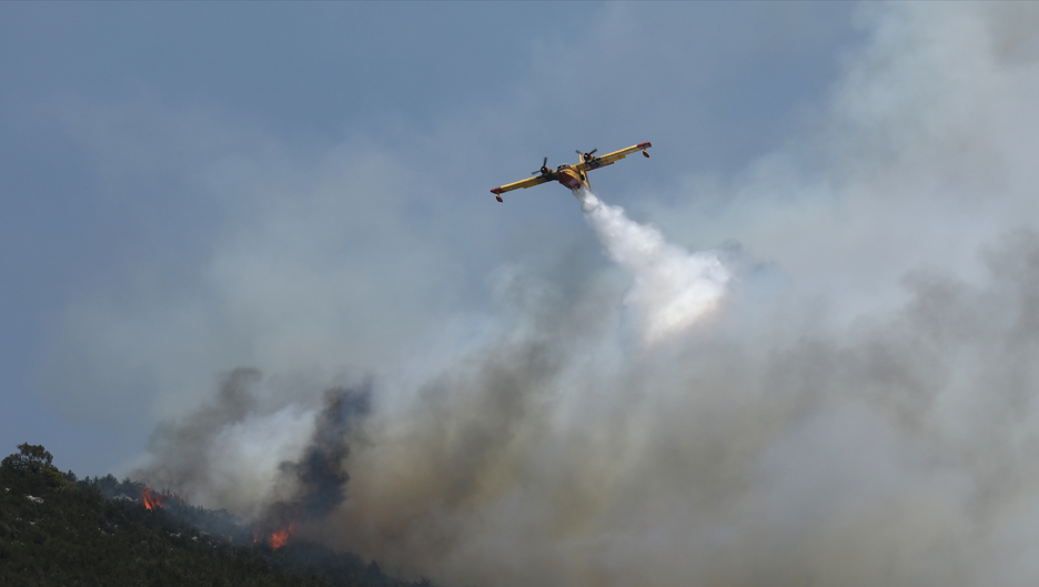 Φωτιά σε δασική έκταση στη Κεφαλονιά