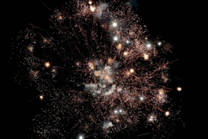 Τέλος στα πυροτεχνήματα και τα φαναράκια που «τραυματίζουν» ζώα και περιβάλλον, ζητά η ΝΕΜΕΣΙΣ