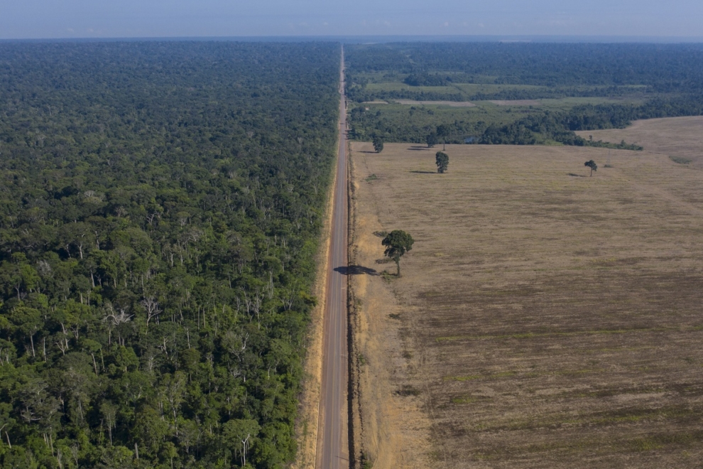 Η καταστροφή των τροπικών δασών επιβραδύνεται, αλλά παραμένει ανησυχητική