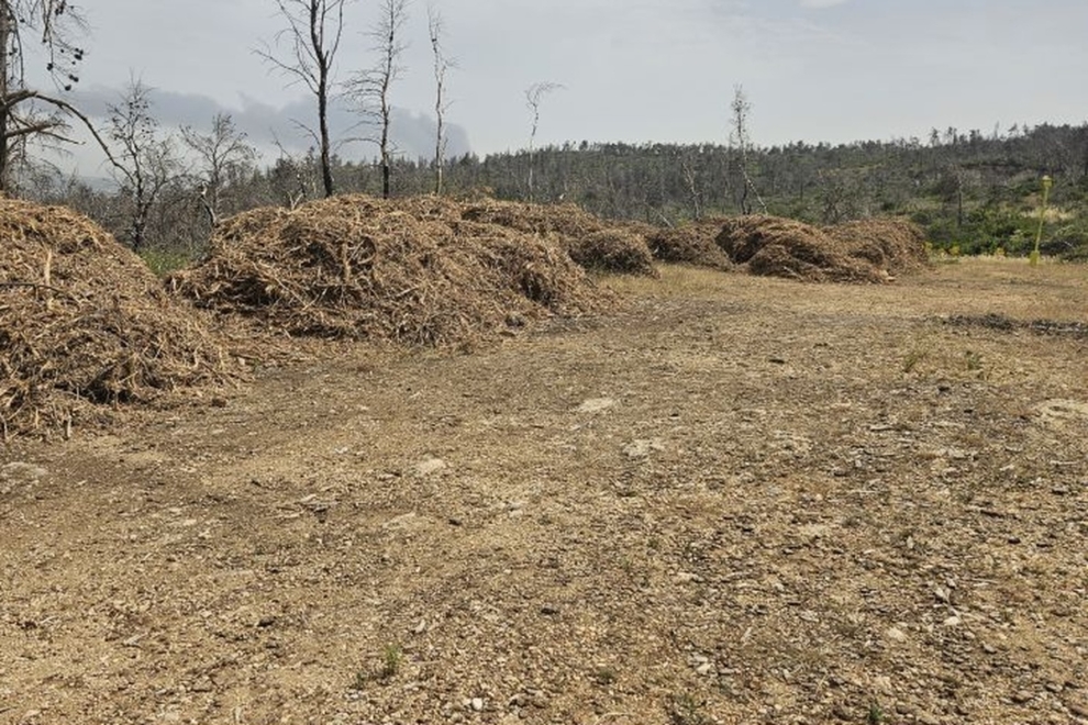 Δημοσιεύθηκε η ΚΥΑ για τα μέτρα προληπτικής πυροπροστασίας και τον καθαρισμό οικοπέδων