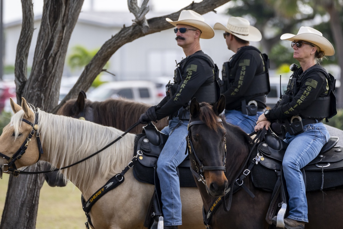 Νέα Υόρκη: Καταδίωξη κλέφτη με άλογο