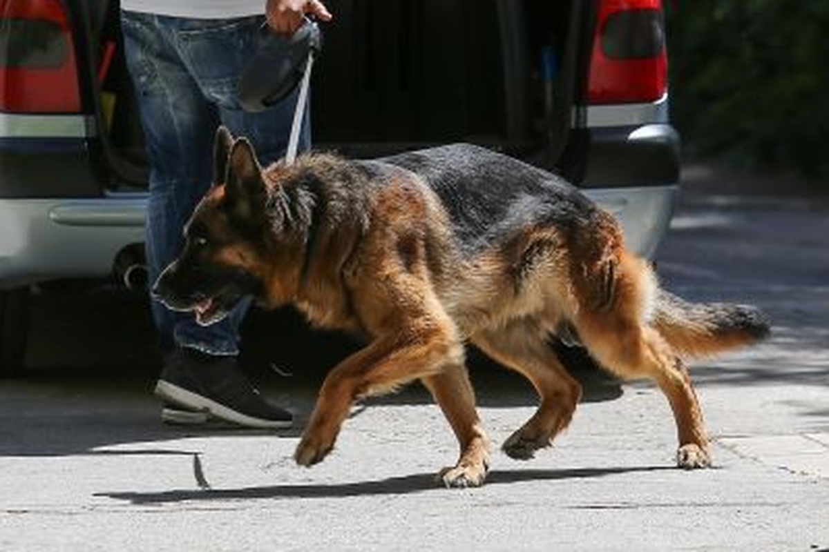 Μπλόκο στη Θεσσαλονίκη- Ο «Ακύλας» ξετρύπωσε ένα κιλό κοκαΐνης