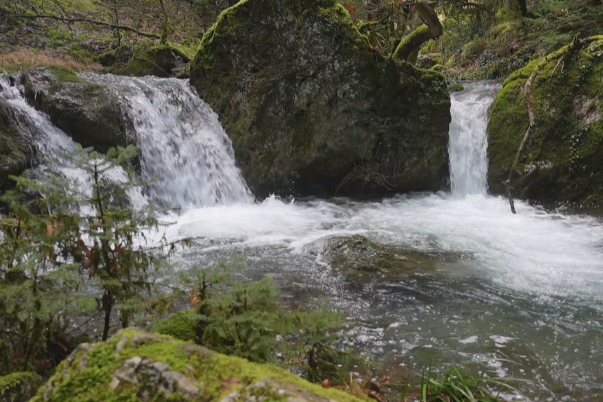 Οδοιπορικό σε Βυτίνα και Ελάτη