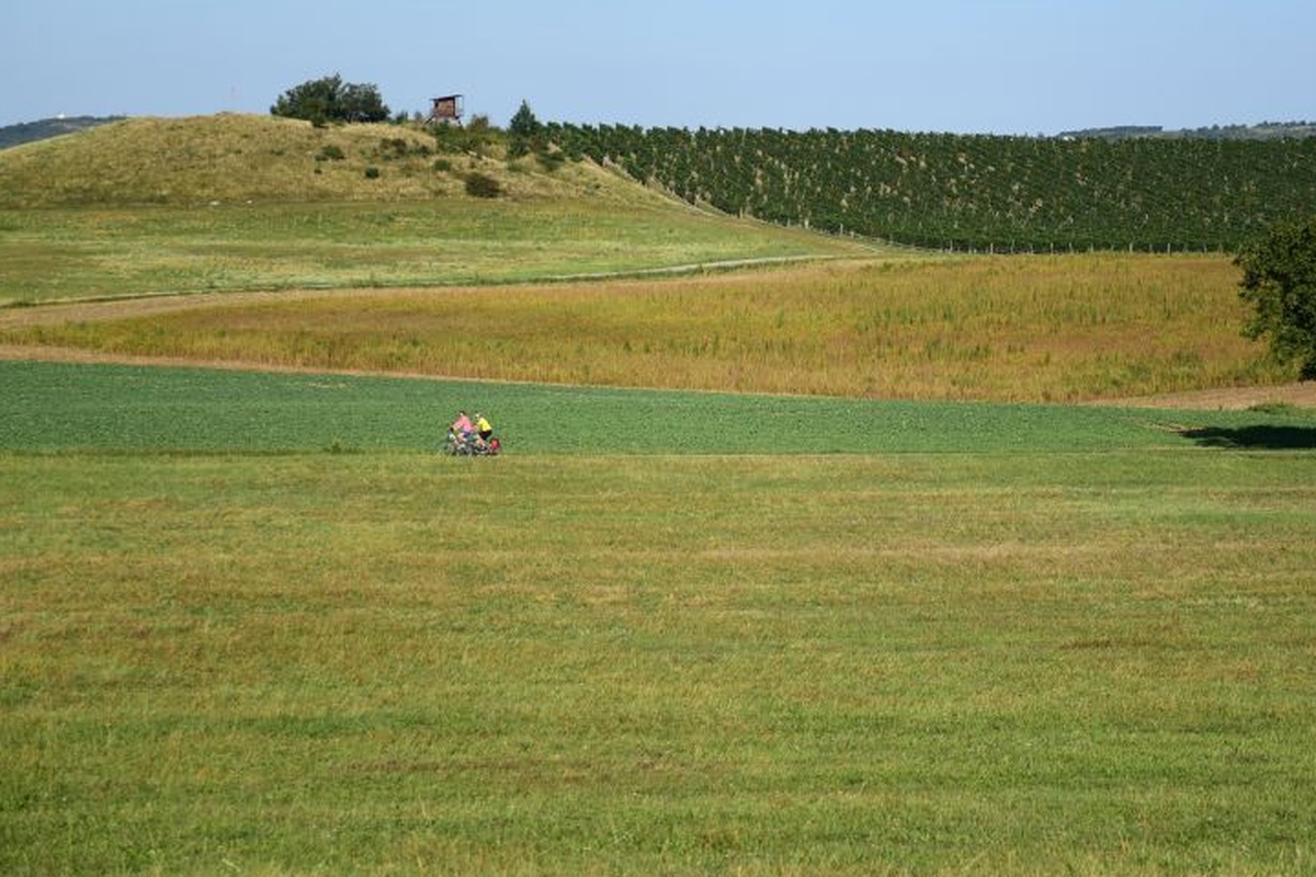 Τα κοράκια των επιδοτήσεων «χρέωσαν» 25.000 στρέμματα σε ανυποψίαστη ηλικιωμένη