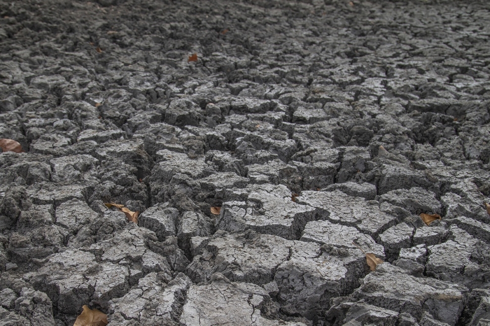 ΠΟΜ: Η εμφάνιση ενός επεισοδίου El Niño είναι όλο και περισσότερη πιθανή από τα μέσα του 2026