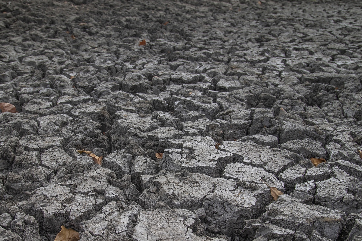 ΠΟΜ: Η εμφάνιση ενός επεισοδίου El Niño είναι όλο και περισσότερη πιθανή από τα μέσα του 2026