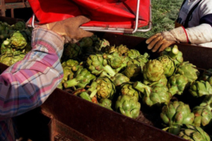 Ακριβή μου νηστεία.. Στα ύψη οι τιμές των λαχανικών