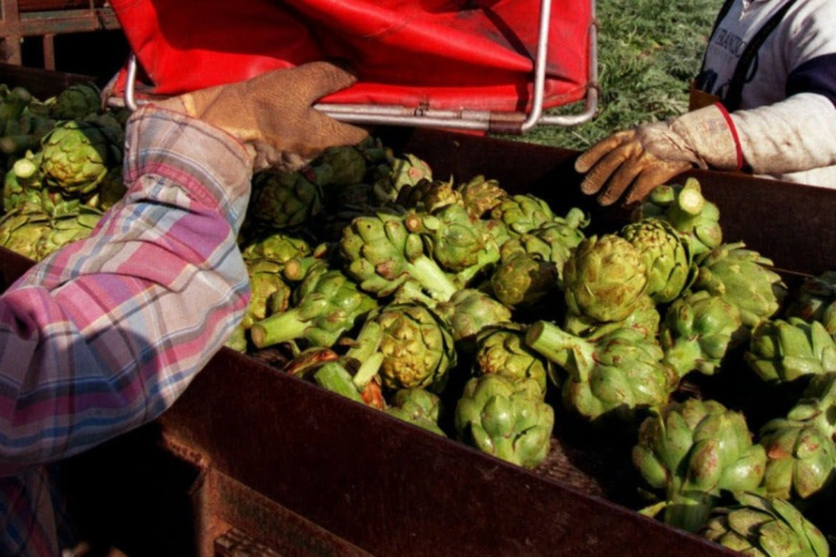 Ακριβή μου νηστεία.. Στα ύψη οι τιμές των λαχανικών