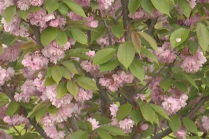 Μαγευτικό σκηνικό στα Τρίκαλα