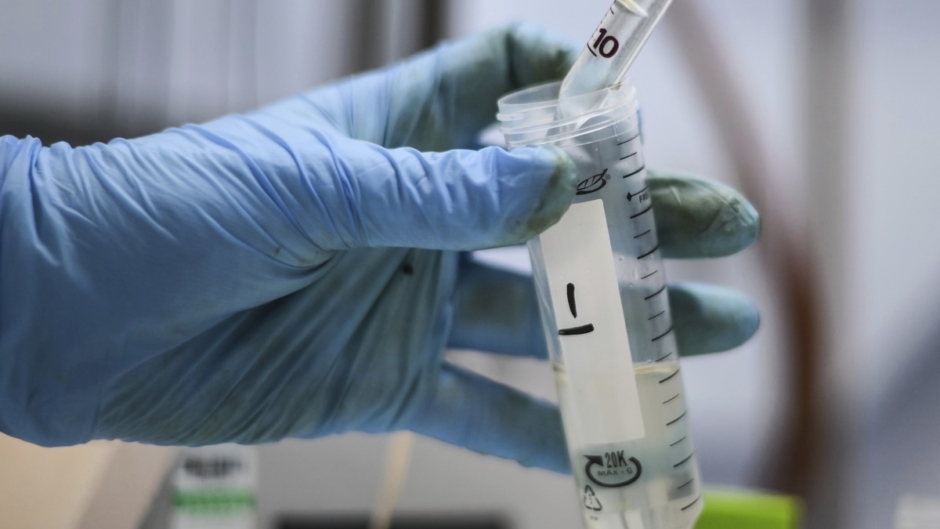 Ελπιδοφόρα μέθοδο για τον καρκίνο