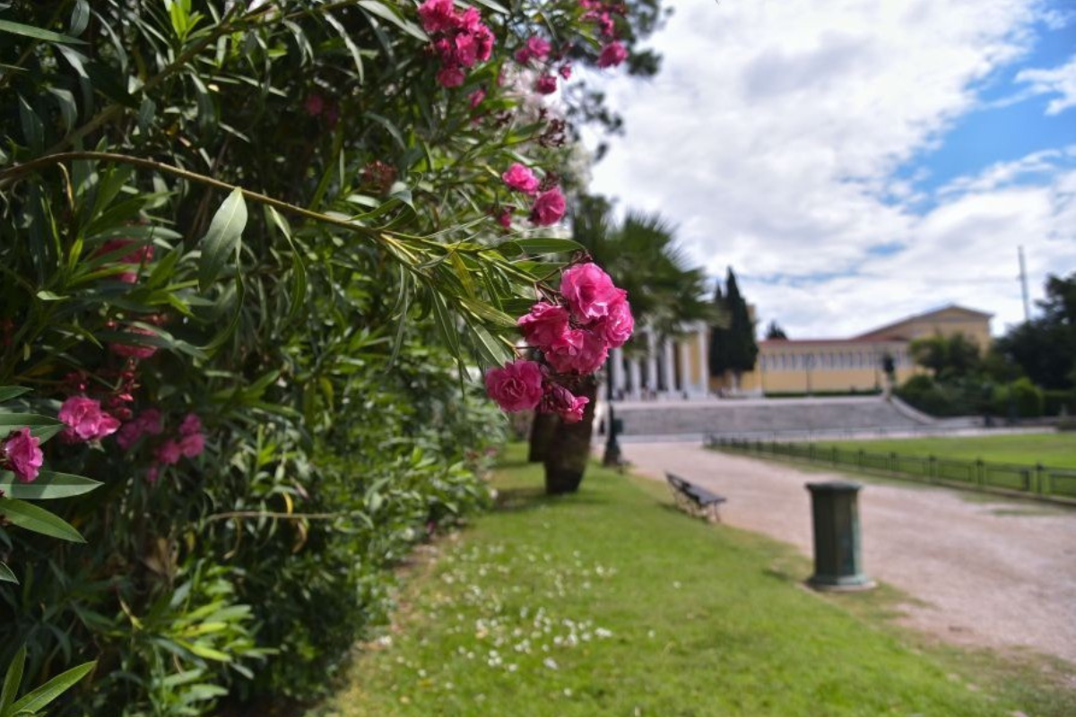 «Ανοιξιάτικο» Πάσχα