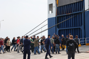 Σε απόγνωση οι κτηνοτρόφοι στη Μυτιλήνη