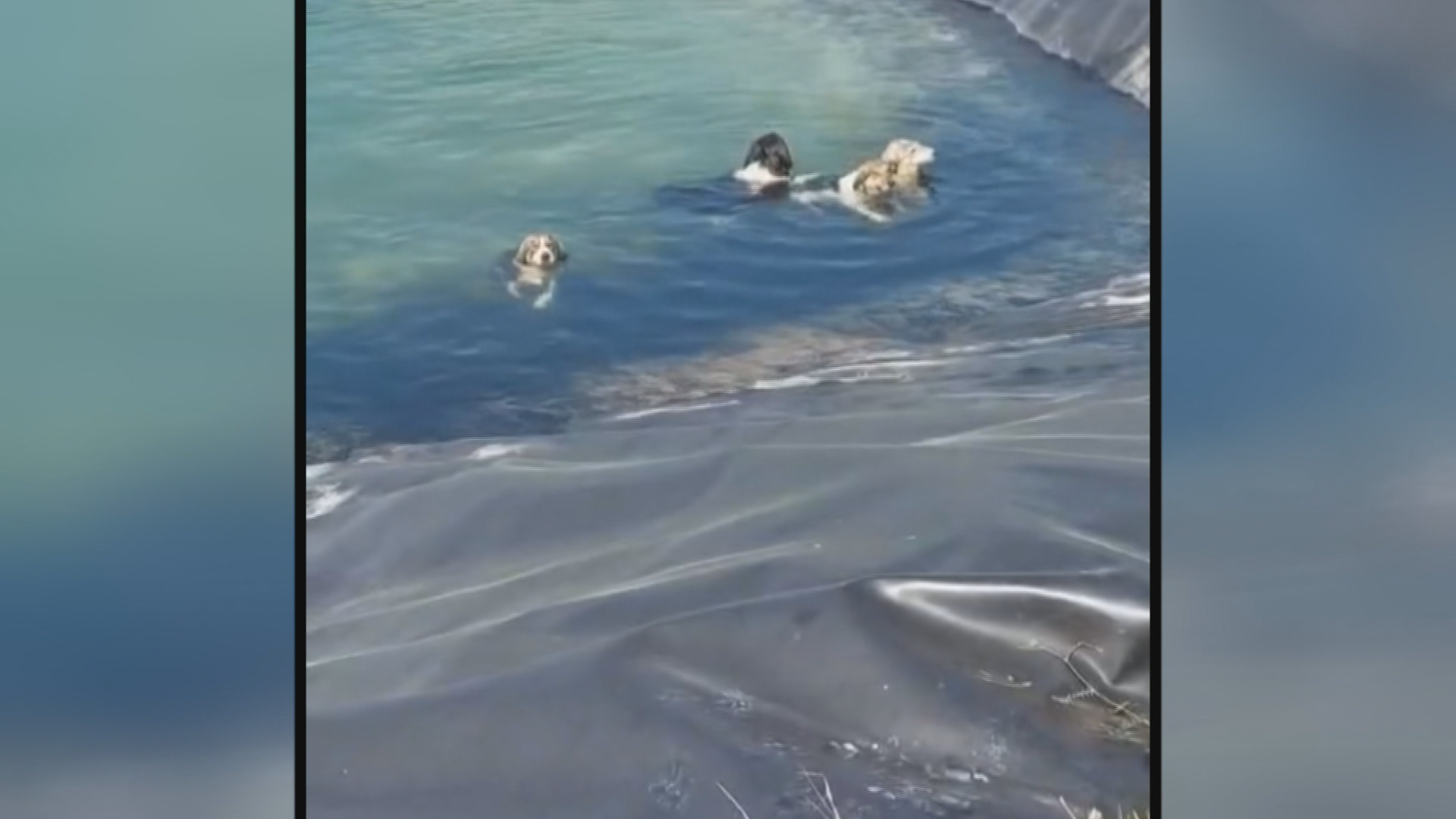 Επιχείρηση διάσωσης στην Κατερίνη